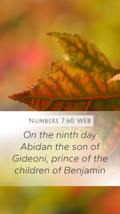 Numbers 7:60 WEB Mobile Phone Wallpaper - On the ninth day Abidan the son of Gideoni, - Mobile Bible Verse Wallpaper