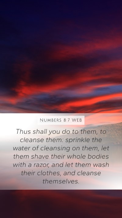 Numbers 8:7 WEB Bible Verse Image