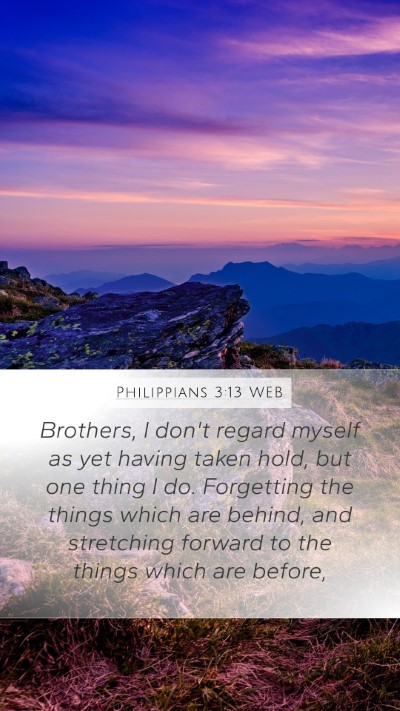 Philippians 3:13 WEB Bible Verse Image