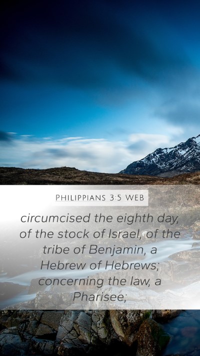 Philippians 3:5 WEB Bible Verse Image