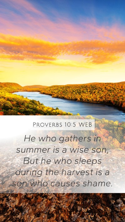 Proverbs 10:5 WEB Mobile Phone Wallpaper - He who gathers in summer is a wise son, But he - Mobile Bible Verse Wallpaper