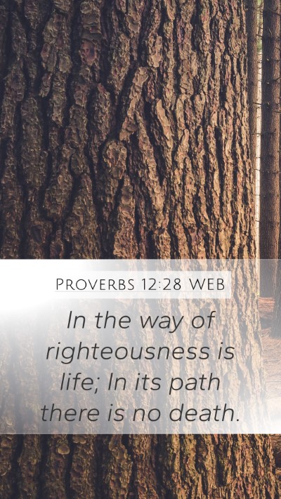 Proverbs 12:28 WEB Bible Verse Image