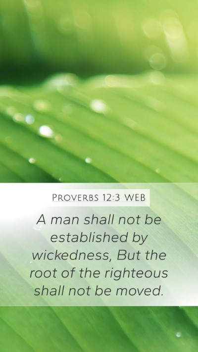 Proverbs 12:3 WEB Mobile Phone Wallpaper - A man shall not be established by wickedness, But - Mobile Bible Verse Wallpaper