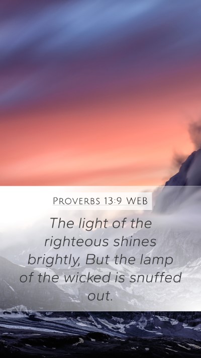 Proverbs 13:9 WEB Bible Verse Image
