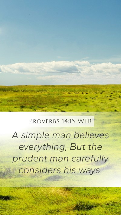 Proverbs 14:15 WEB Bible Verse Image