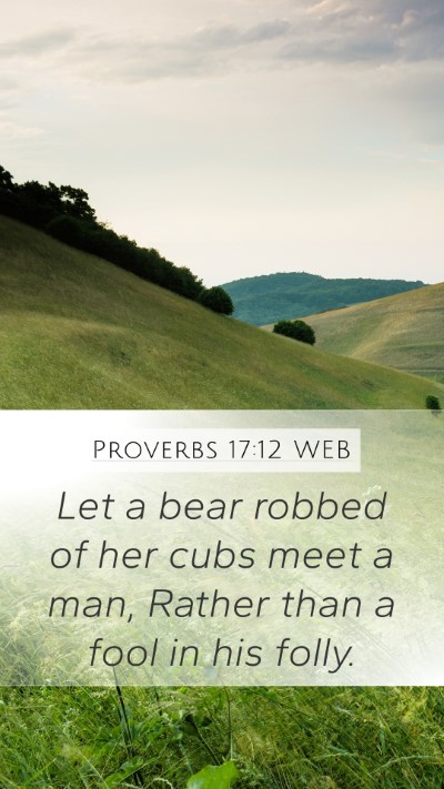 Proverbs 17:12 WEB Bible Verse Image