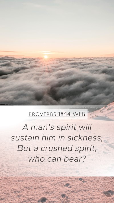 Proverbs 18:14 WEB Bible Verse Image