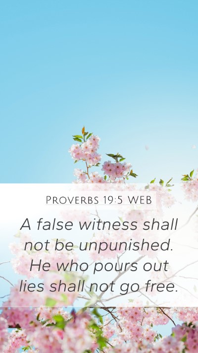 Proverbs 19:5 WEB Bible Verse Image