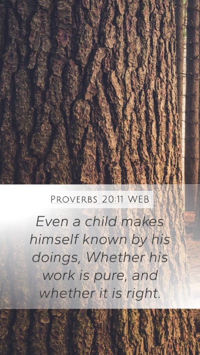 Proverbs 20:11 WEB Bible Verse Image