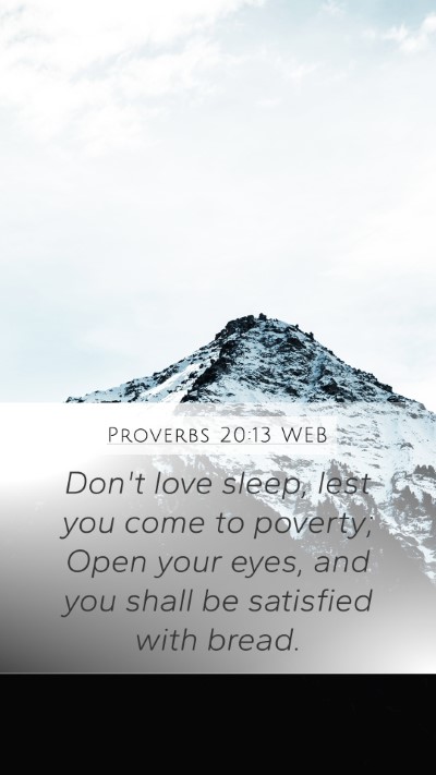 Proverbs 20:13 WEB Bible Verse Image