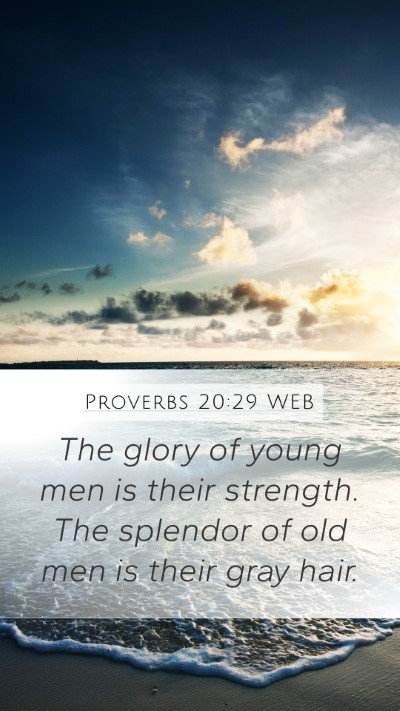 Proverbs 20:29 WEB Bible Verse Image