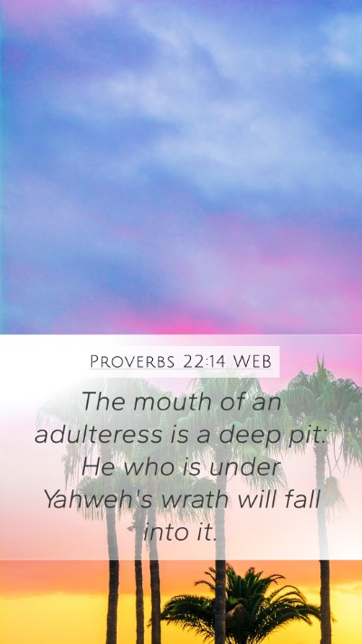 Proverbs 22:14 WEB Bible Verse Image