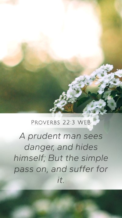 Proverbs 22:3 WEB Bible Verse Image