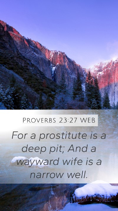 Proverbs 23:27 WEB Bible Verse Image