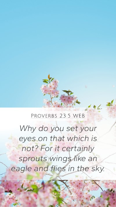 Proverbs 23:5 WEB Bible Verse Image