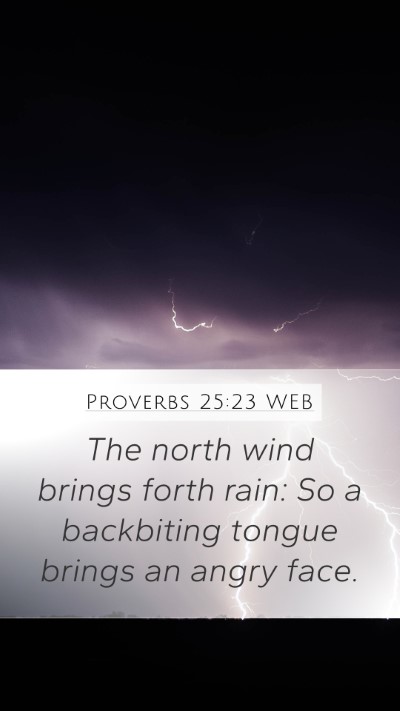 Proverbs 25:23 WEB Bible Verse Image