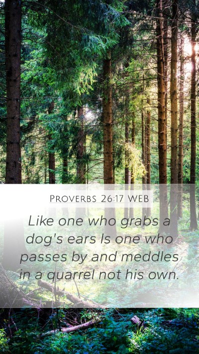 Proverbs 26:17 WEB Bible Verse Image