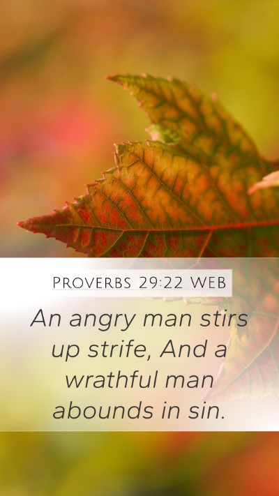 Proverbs 29:22 WEB Bible Verse Image