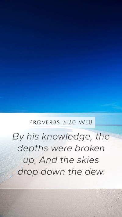 Proverbs 3:20 WEB Mobile Phone Wallpaper - By his knowledge, the depths were broken up, And - Mobile Bible Verse Wallpaper
