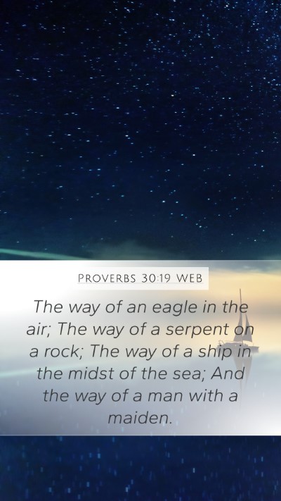Proverbs 30:19 WEB Mobile Phone Wallpaper - The way of an eagle in the air; The way of a - Mobile Bible Verse Wallpaper