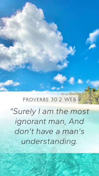 Proverbs 30:2 WEB Bible Verse Image