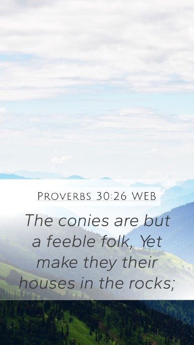 Proverbs 30:26 WEB Bible Verse Image