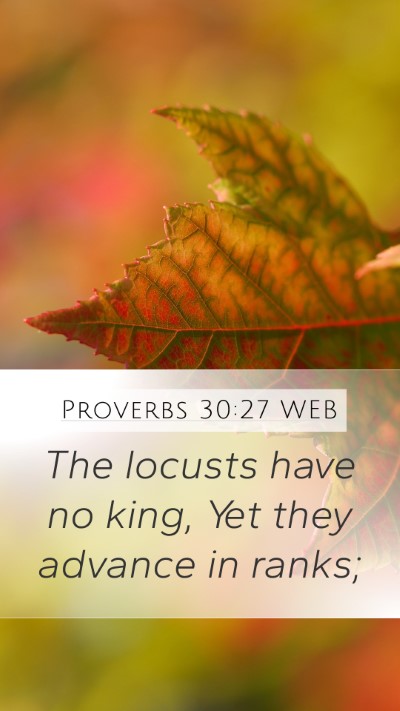 Proverbs 30:27 WEB Mobile Phone Wallpaper - The locusts have no king, Yet they advance in - Mobile Bible Verse Wallpaper