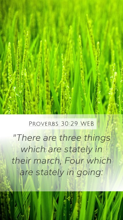 Proverbs 30:29 WEB Bible Verse Image