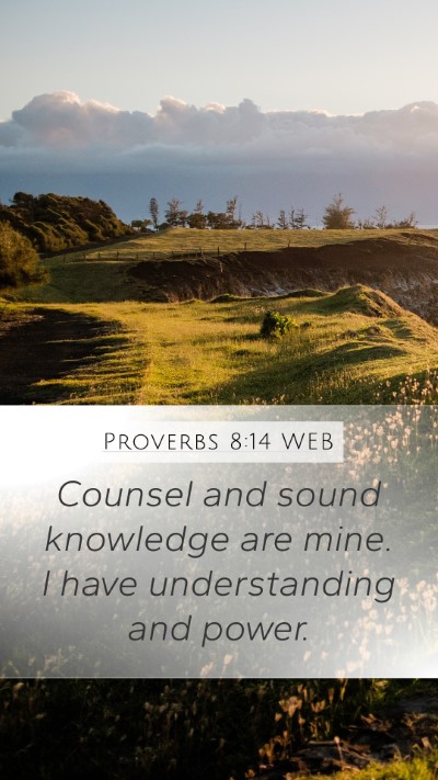 Proverbs 8:14 WEB Bible Verse Image