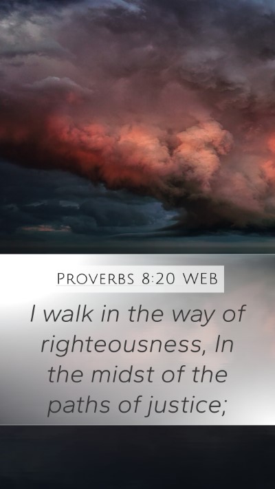 Proverbs 8:20 WEB Bible Verse Image