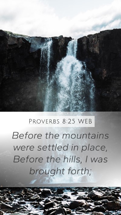 Proverbs 8:25 WEB Bible Verse Image