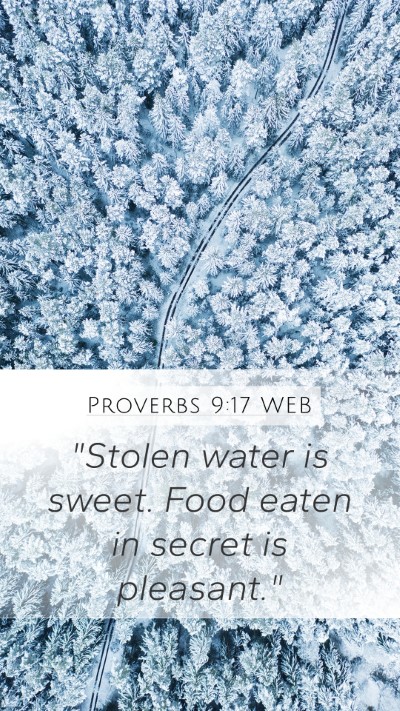 Proverbs 9:17 WEB Bible Verse Image
