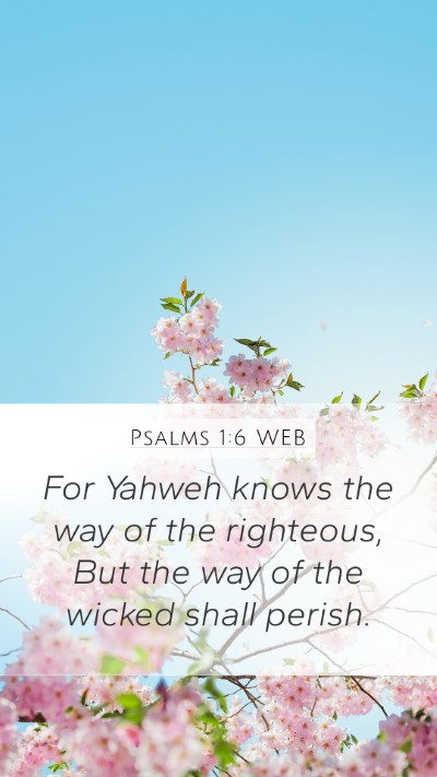 Psalms 1:6 WEB Bible Verse Image
