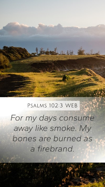 Psalms 102:3 WEB Bible Verse Image