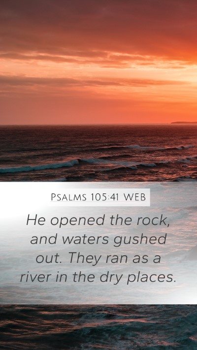 Psalms 105:41 WEB Bible Verse Image