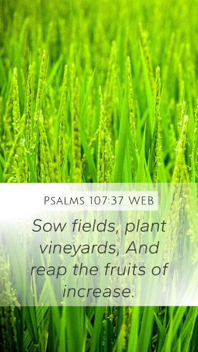 Psalms 107:37 WEB Mobile Phone Wallpaper - Sow fields, plant vineyards, And reap the fruits - Mobile Bible Verse Wallpaper