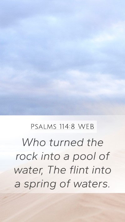 Psalms 114:8 WEB Bible Verse Image