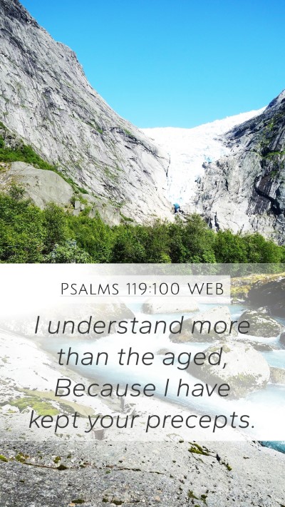 Psalms 119:100 WEB Bible Verse Image