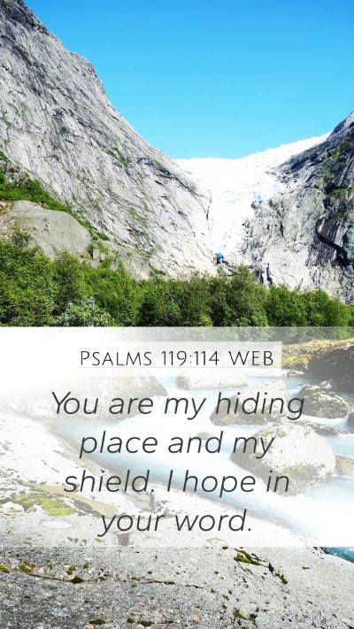 Psalms 119:114 WEB Bible Verse Image