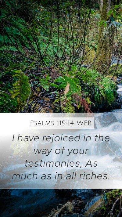 Psalms 119:14 WEB Bible Verse Image