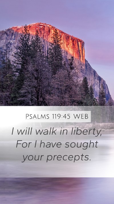Psalms 119:45 WEB Mobile Phone Wallpaper - I will walk in liberty, For I have sought your - Mobile Bible Verse Wallpaper
