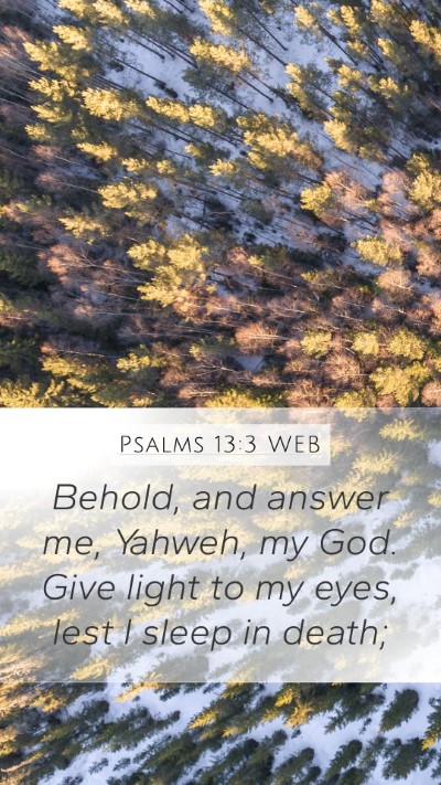 Psalms 13:3 WEB Bible Verse Image