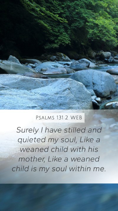 Psalms 131:2 WEB Bible Verse Image