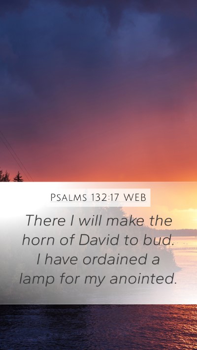 Psalms 132:17 WEB Bible Verse Image