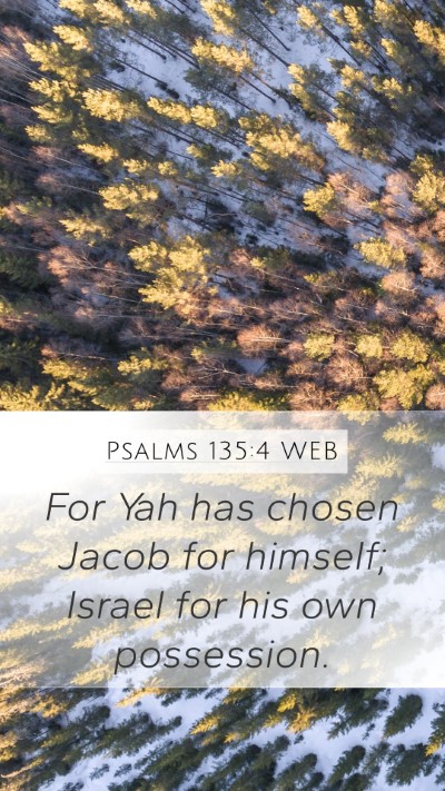 Psalms 135:4 WEB Bible Verse Image