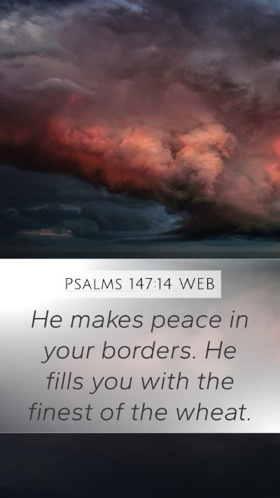 Psalms 147:14 WEB Bible Verse Image
