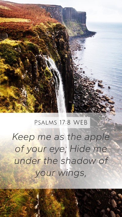 Psalms 17:8 WEB Bible Verse Image