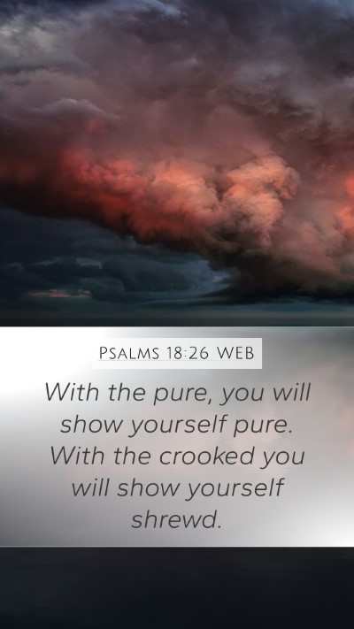 Psalms 18:26 WEB Bible Verse Image