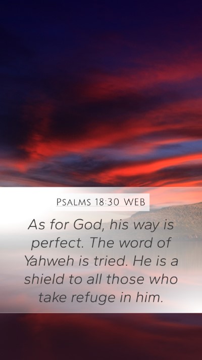 Psalms 18:30 WEB Bible Verse Image