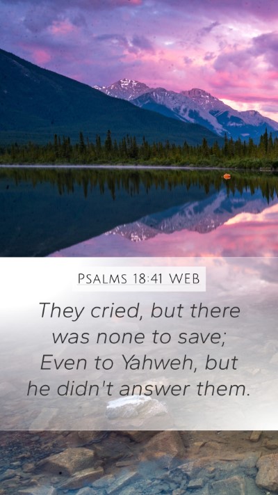 Psalms 18:41 WEB Bible Verse Image